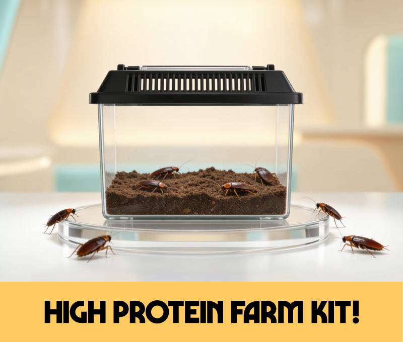 High Protein Farm Kit